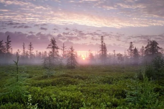 Help shape the future of the Greenbelt