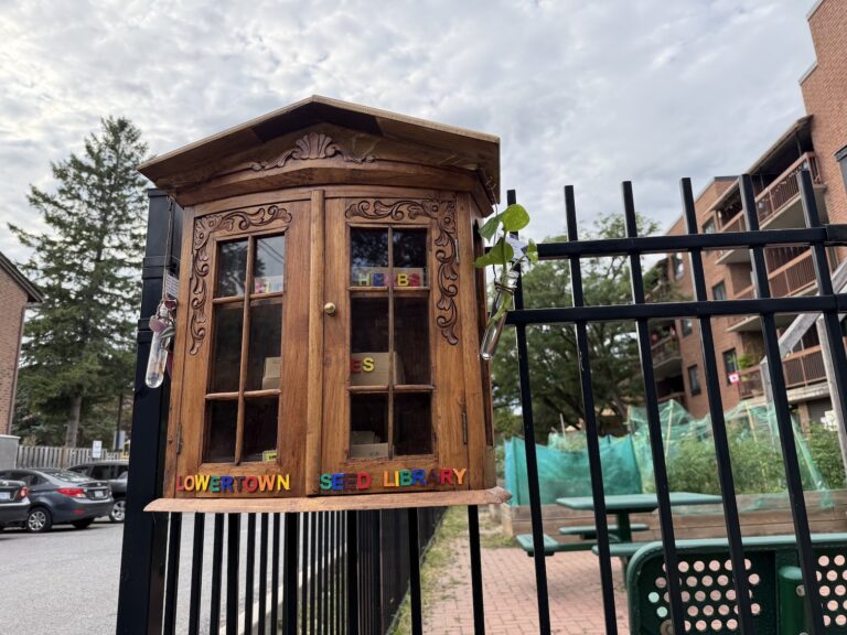 Lowertown’s newest library doesn’t have late fees – take a seed, leave a seed