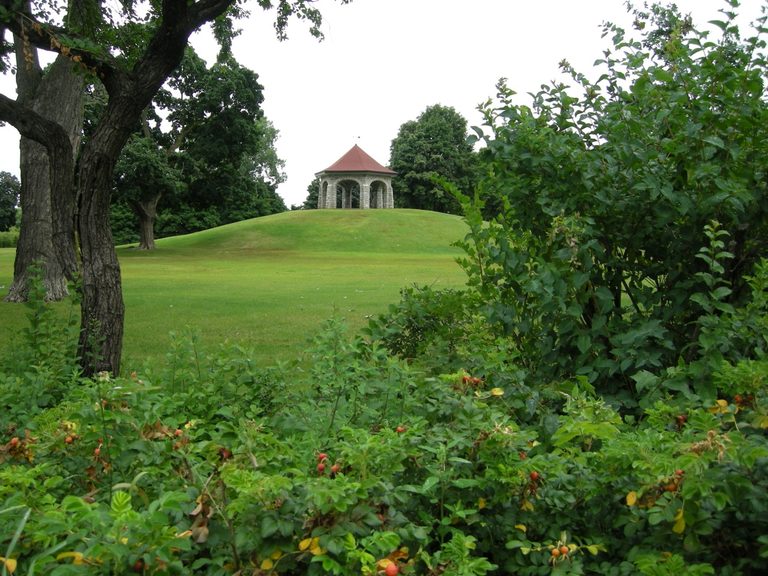 Latest news from the Macdonald Gardens Park: why parks and community efforts matter